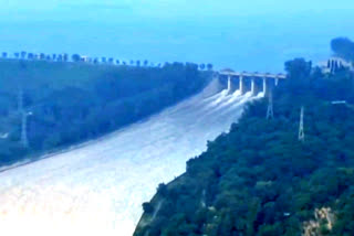 पौंग डैम