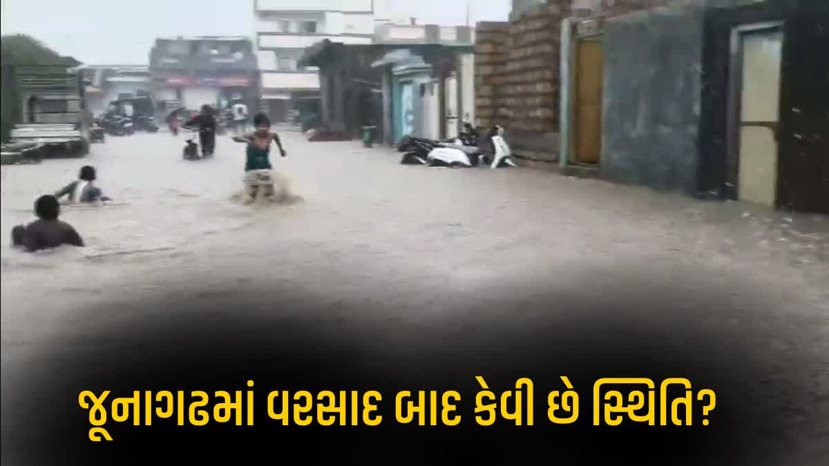 જૂનાગઢમાં ભારે વરસાદ બાદ સ્થિતિ સામાન્ય