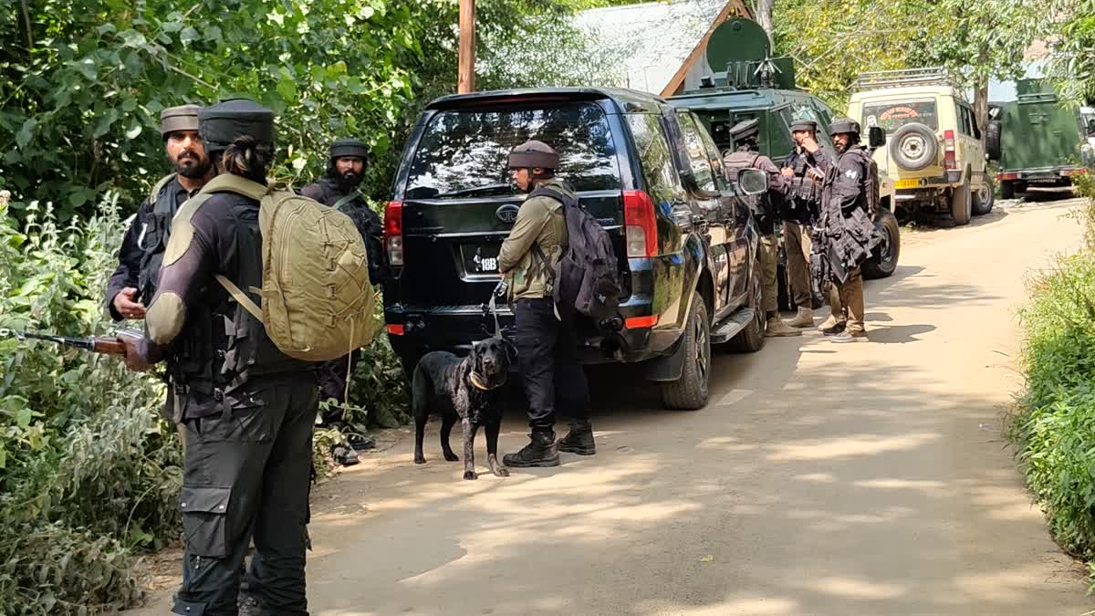 Dead body found near encounter site in Shopian police confirms Lashkar terrorist neutralised Urdu News