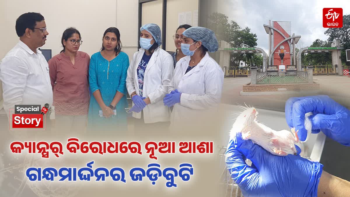GANDHAMARDAN CANCER RESEARCH