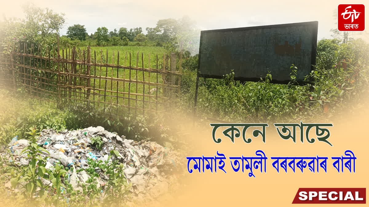 The garden set up by Momai Tamuli Borbaruah, now seized by encroachers
