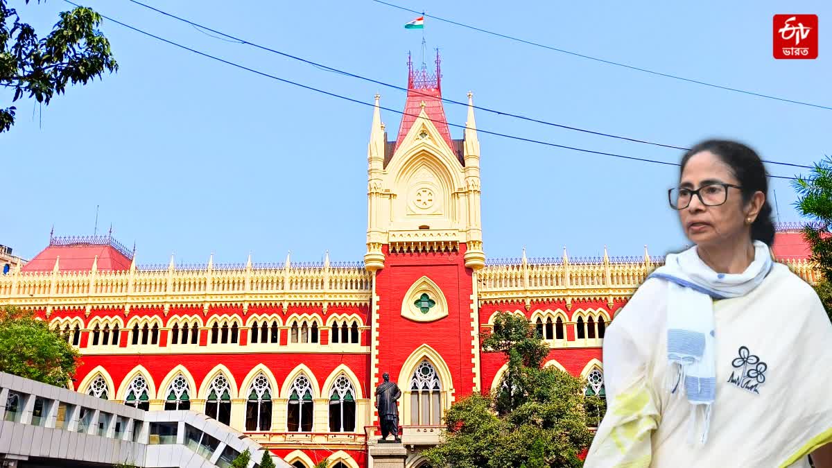 Kalighat TMC Bank Account Case
