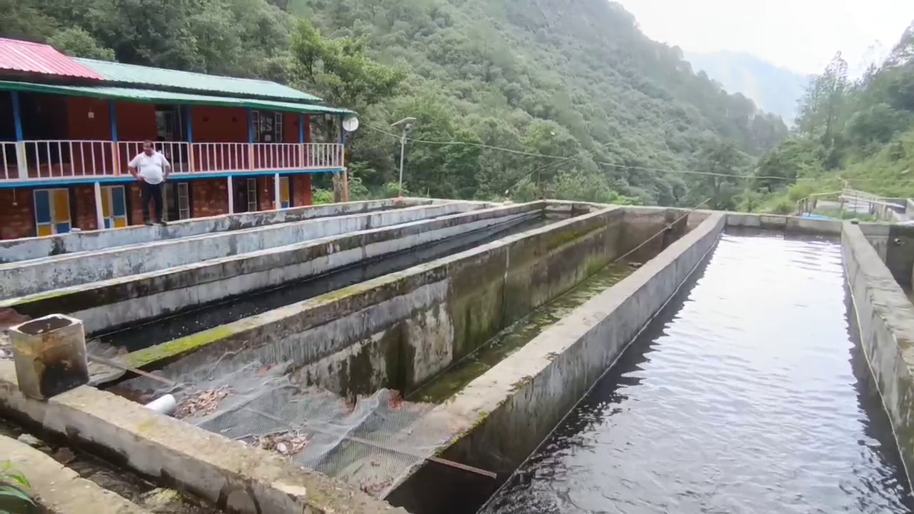 Rudraprayag Dinesh Singh Fish Farming