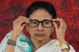 TMC Mamata Banerjee