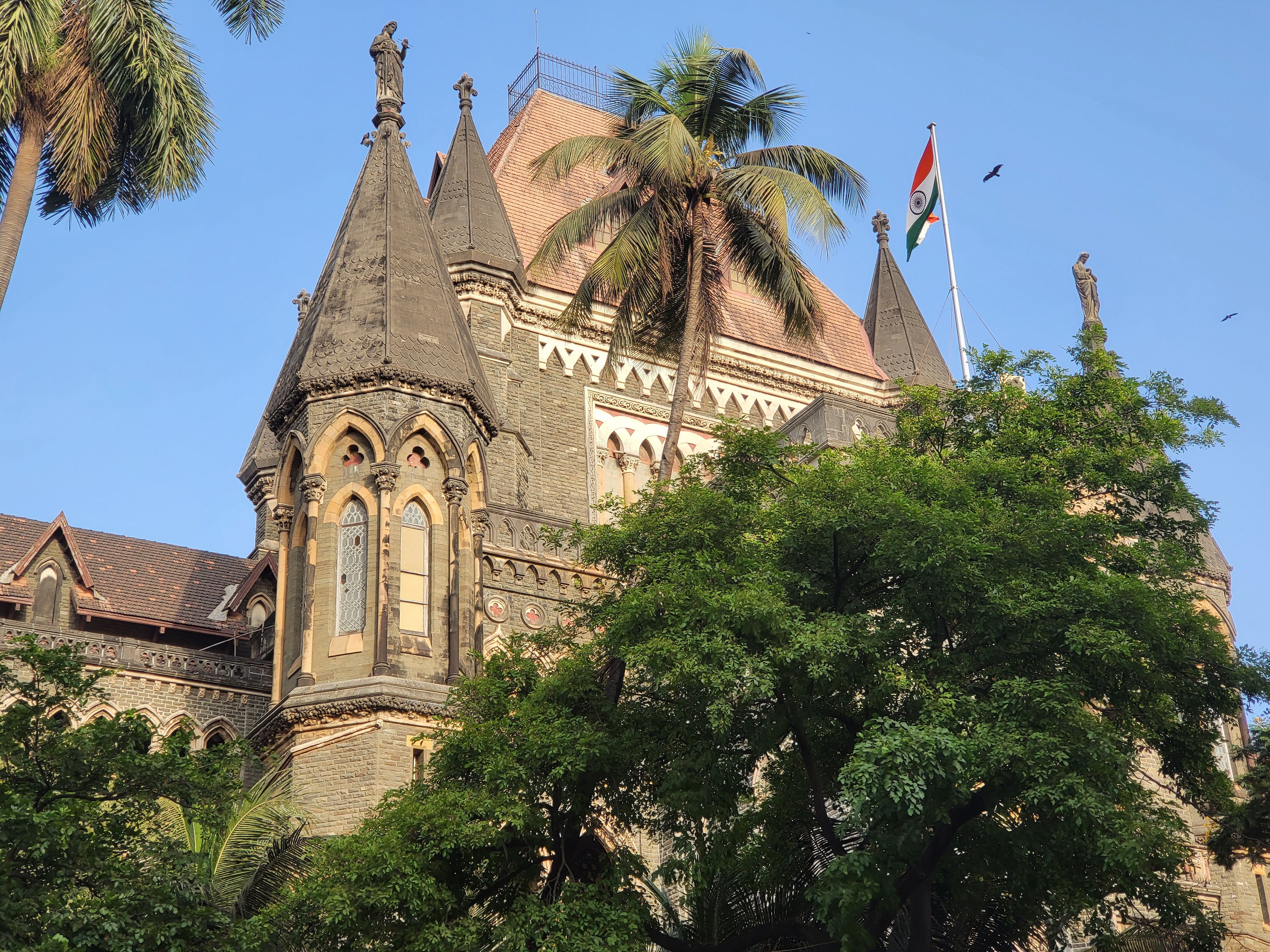Bombay High Court On Old Parents