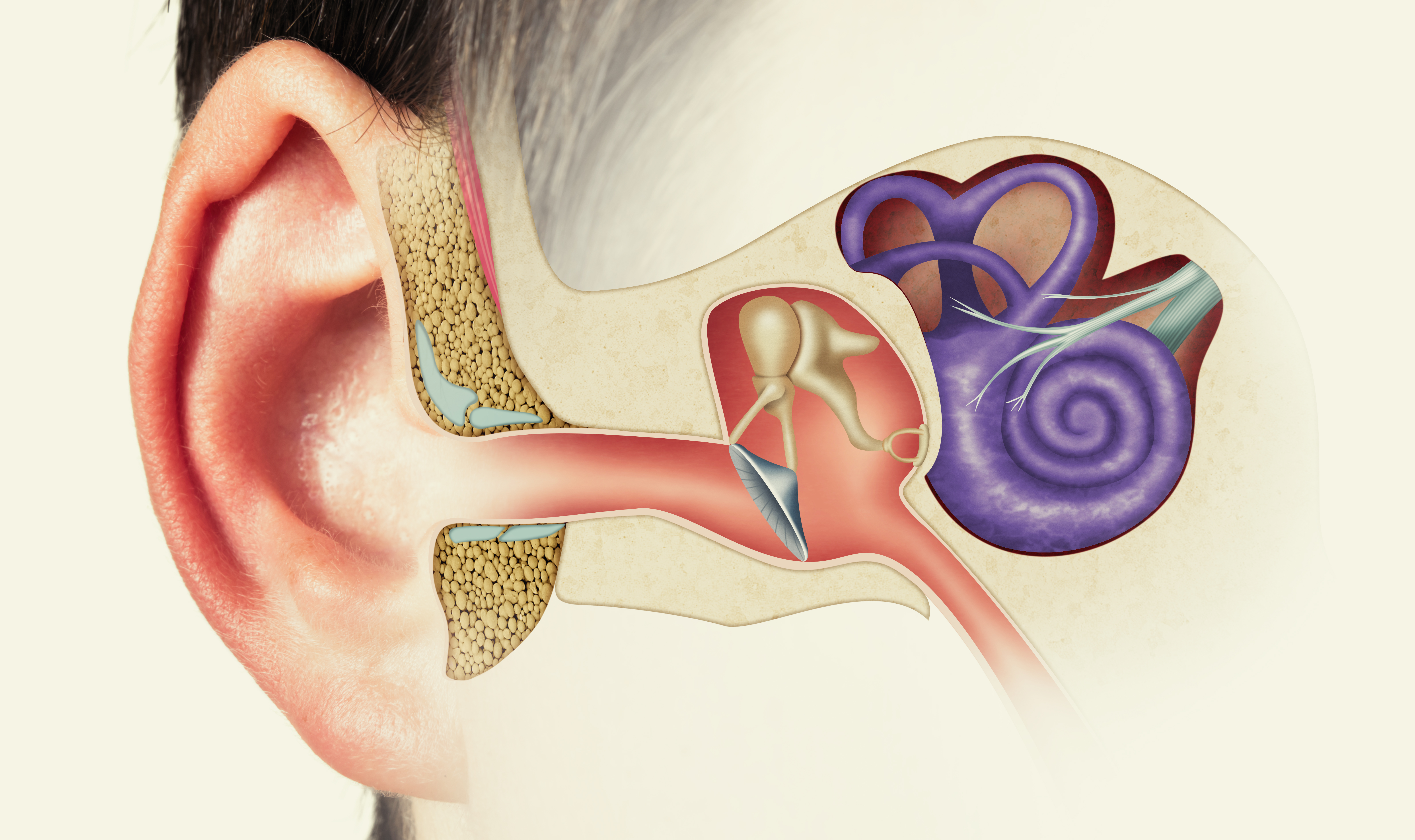 mistakes can cause hearing loss Why are hearing problems increasing How to maintain ear health ಶ್ರವಣ ನಷ್ಟ ಅಪಾಯಕ್ಕೆ ಕಾರಣಗಳೇನು