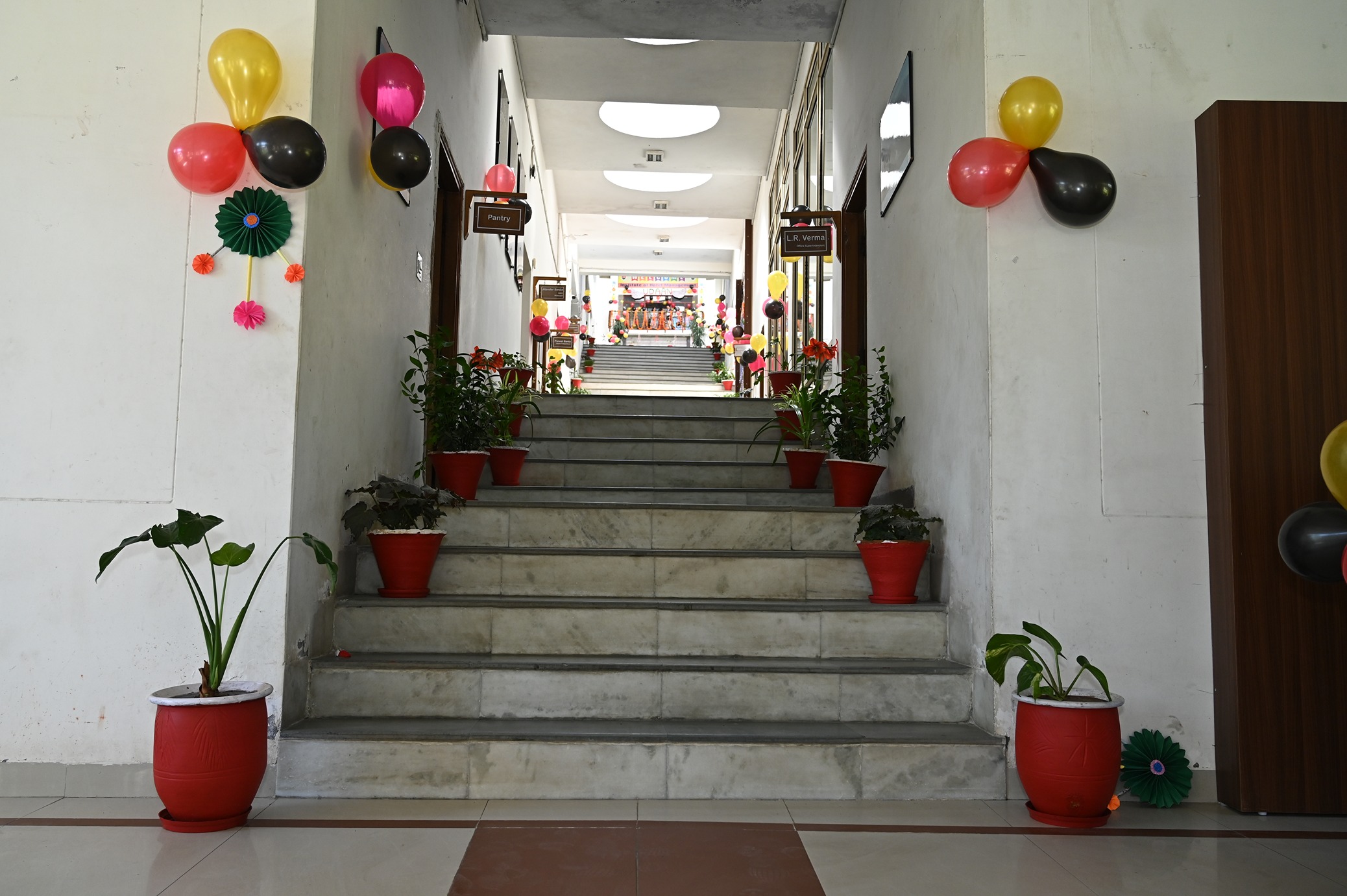 IHM Hamirpur