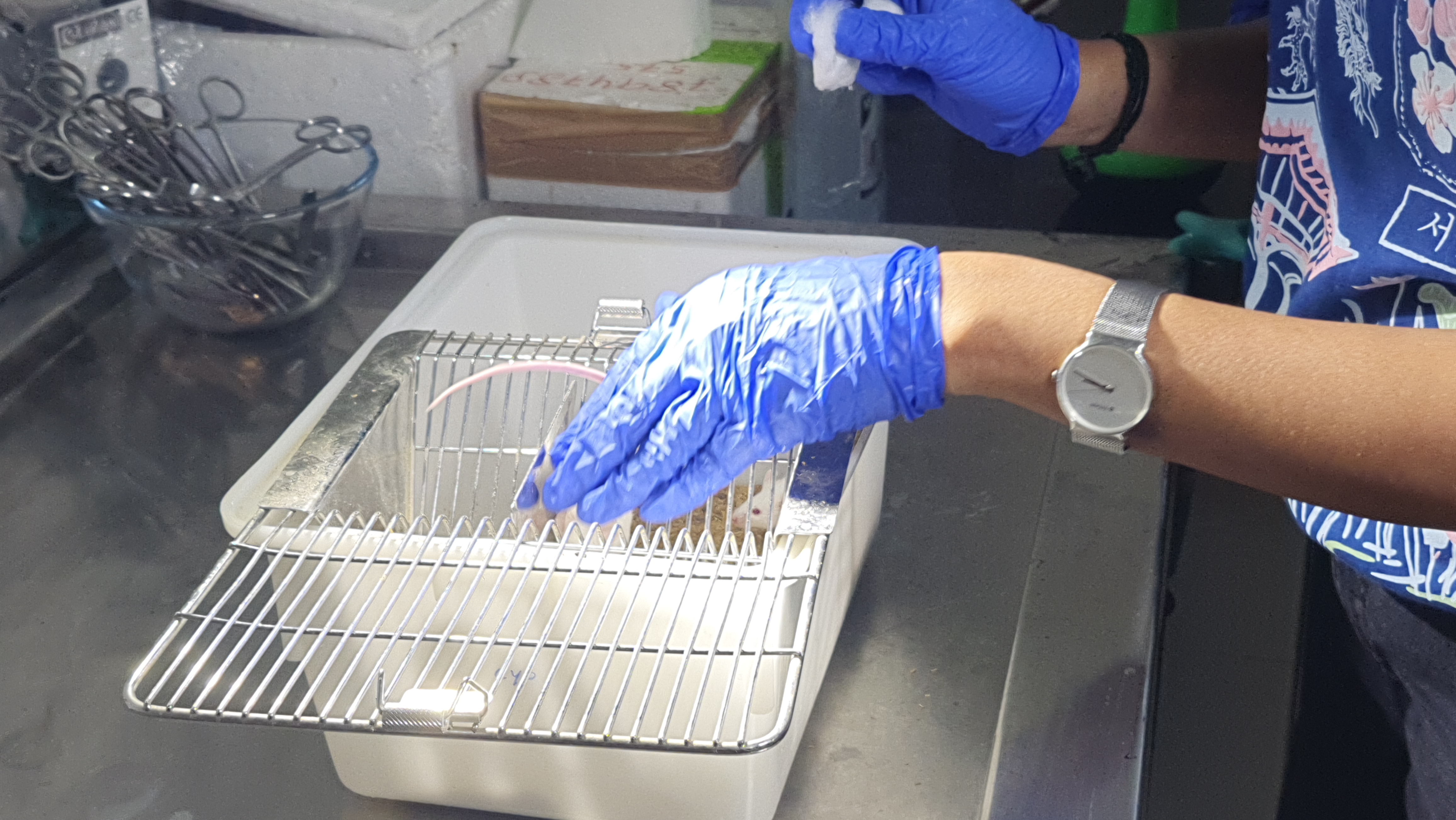 GANDHAMARDAN CANCER RESEARCH