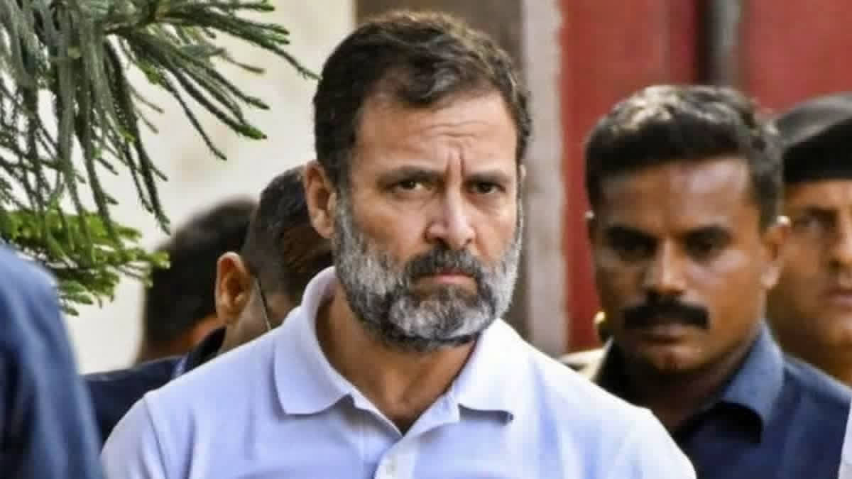 LoP Rahul Gandhi Wants Congress MPs To Be More Active In Parliament LoP Rahul Gandhi Wants Congress MPs To Be More Active In Parliament