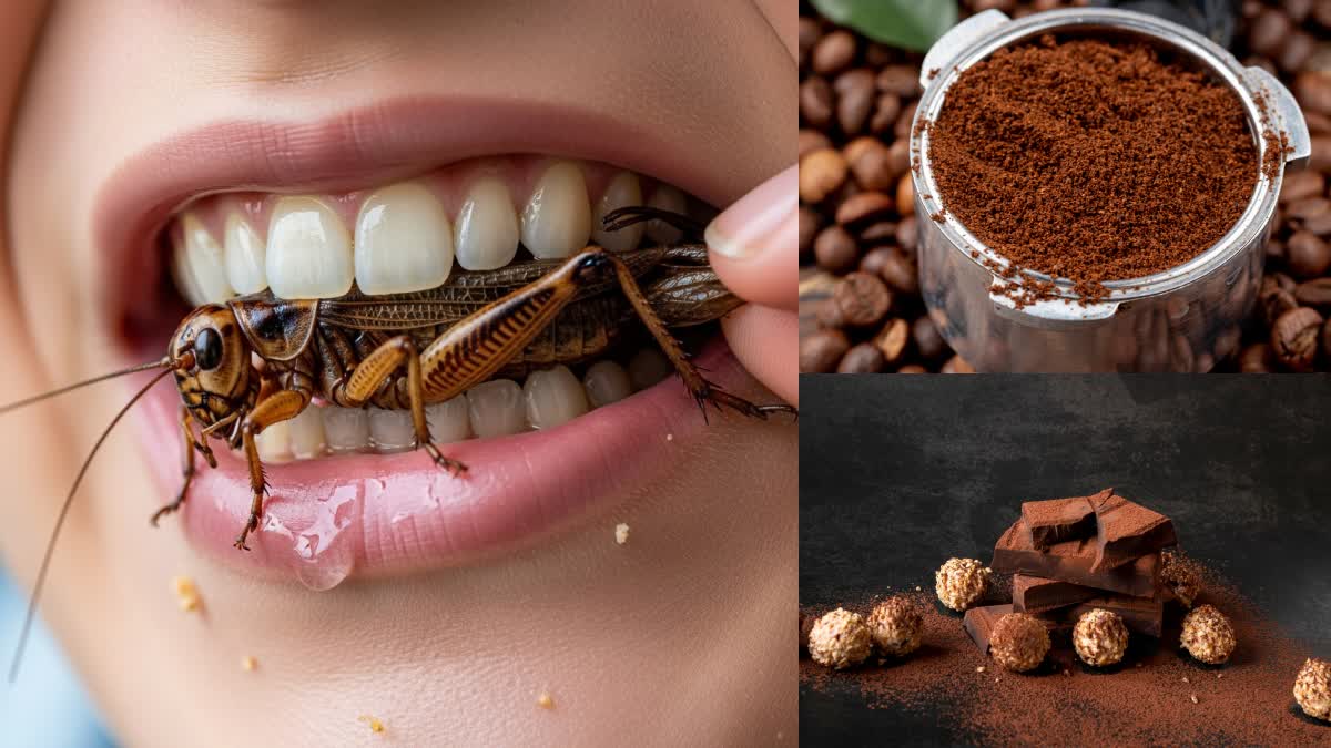 FOODS THAT CONTAIN INSECTS