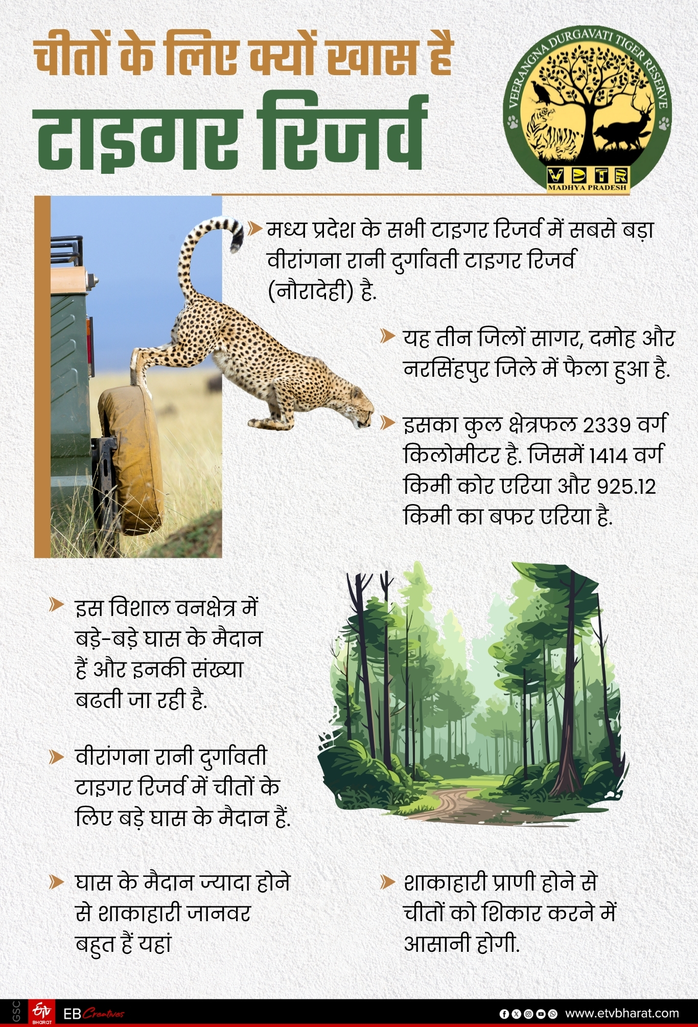 VEERANGANA DURGAVATI TIGER RESERVE