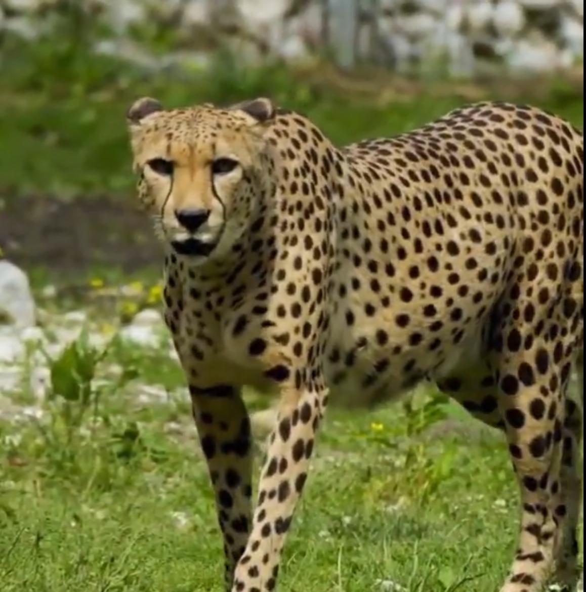 VEERANGANA DURGAVATI TIGER RESERVE