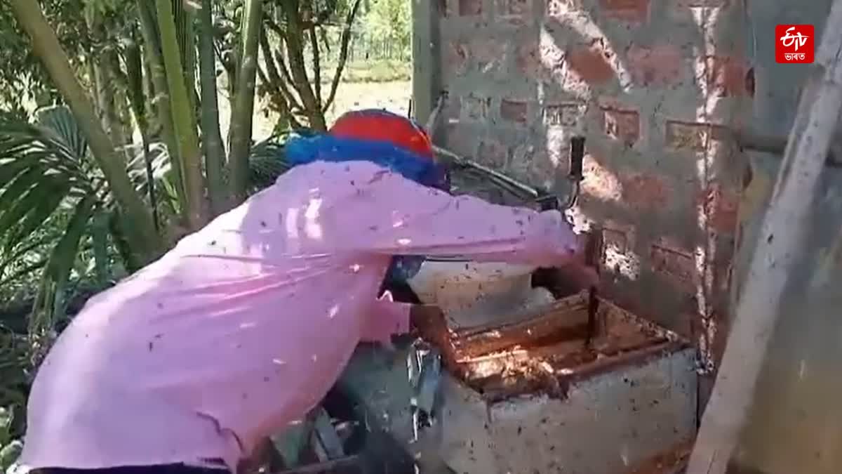 Self reliant through beekeeping