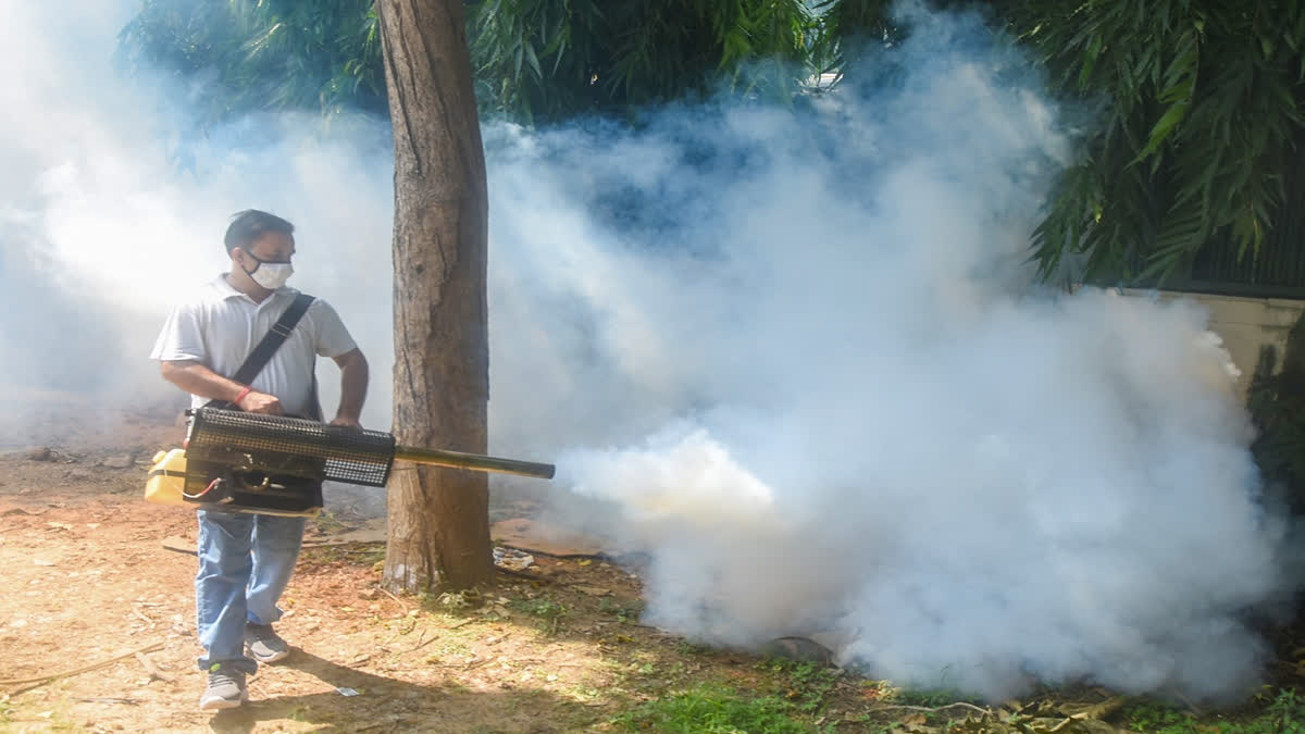 Health Minister Reviews National Dengue and Malaria Preparedness Before Monsoon | Quick Digest