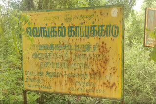 வெங்கல் காப்புக்காடு