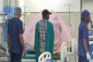 Chandipura virus spreading rapidly again in Gujarat; learn about its symptoms and preventive measures.