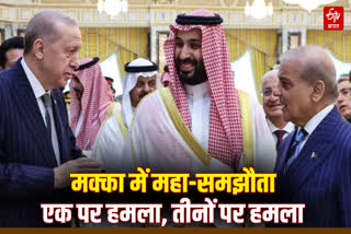 MECCA JOINT DEFENSE AGREEMENT EXPLAINED IN HINDI
