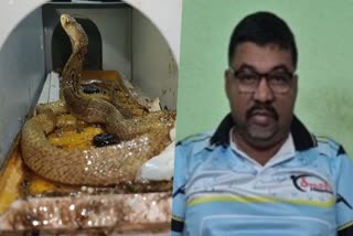 Snake Helpline urges Odisha govt to raise ex-gratia compensation from Rs 4 lakh to Rs 10 lakh