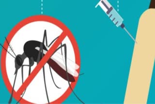 Tamil Nadu karnataka maharashtra uttar pradesh and kerala lead Indias dengue burden