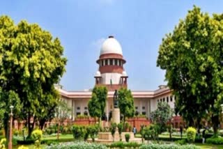 Nitish Katara murder case Supreme Court refuses to extend interim bail of convict Vikas Yadav