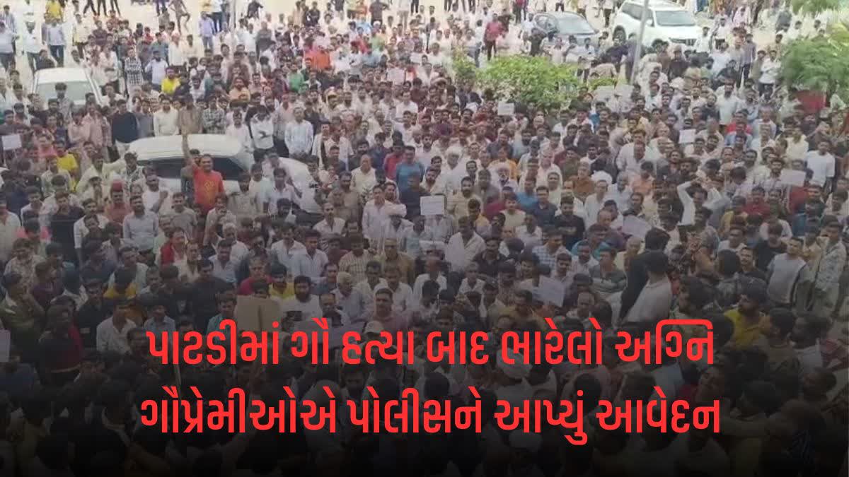 સુરેન્દ્રનગરના પાટડીમાં ગૌ વંશની હત્યા બાદ ભારેલો અગ્નિ, પોલીસ સ્ટેશન ઉમટી પડ્યા અસંખ્ય ગૌપ્રેમીઓ