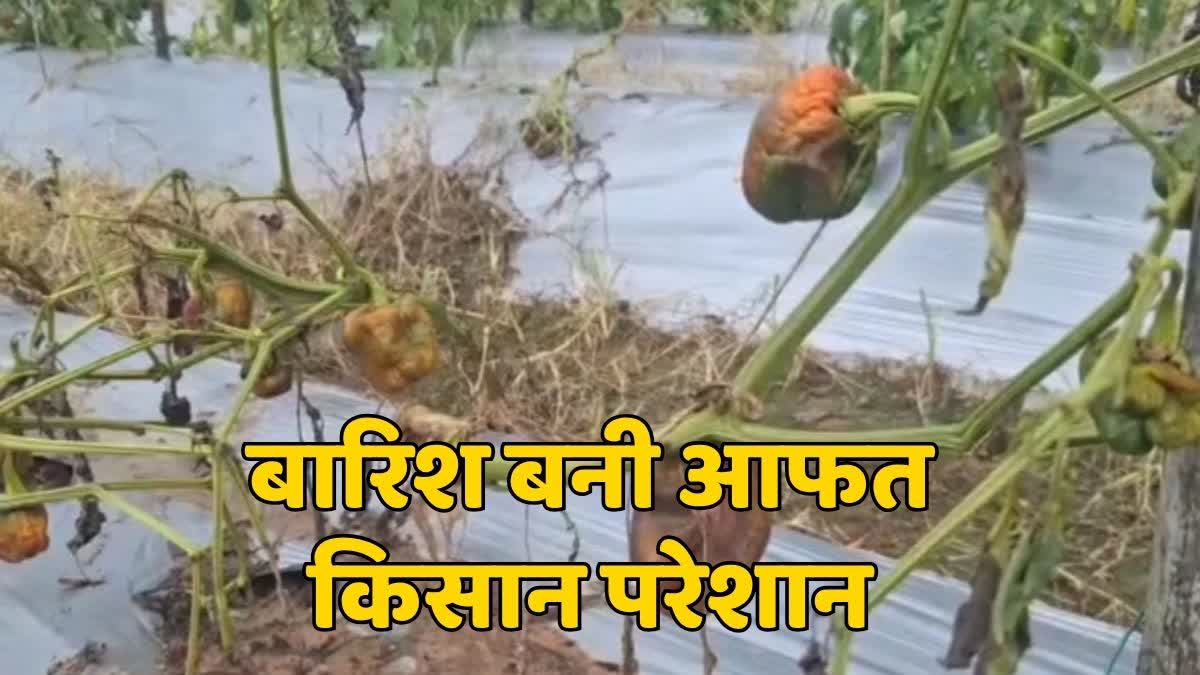 Agricultural scientist tips