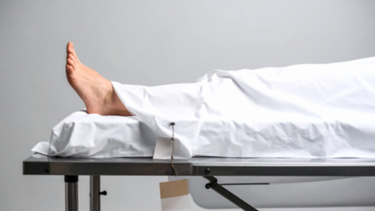 Representational Image.