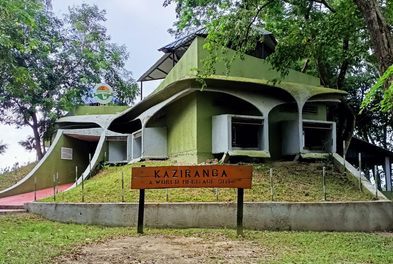 Kaziranga National Park is famous for its 'Big Five'.