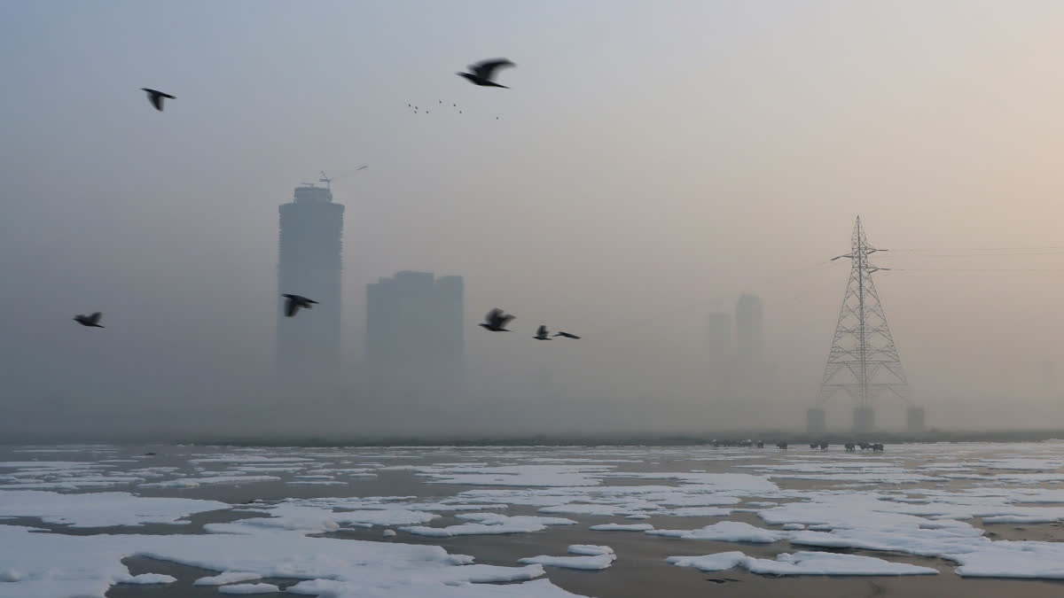 Government Experts Meet to Tackle Air Pollution and Climate Change The meeting chaired by the PSA to the Government of India aimed to refine and implement the National Air Quality Resource Framework of India (NARFI).