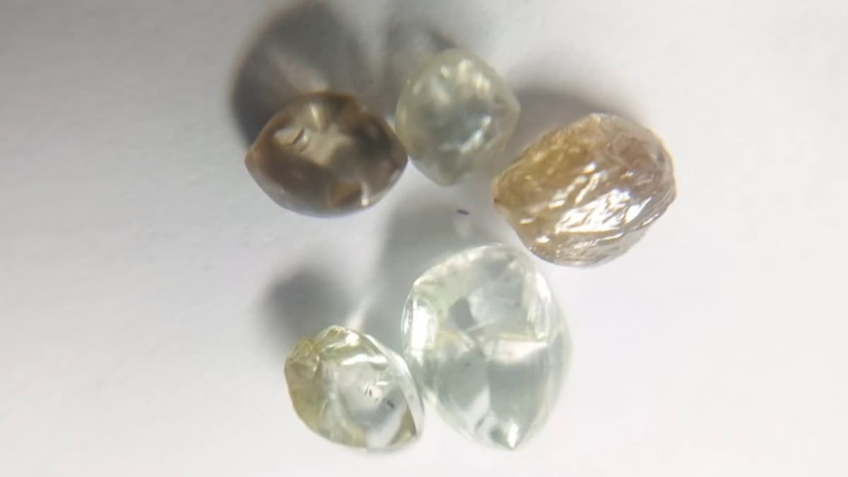 PANNA FARMERS FOUND 5 DIAMONDS