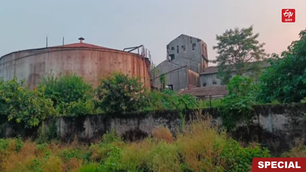 Assam first sugar mill