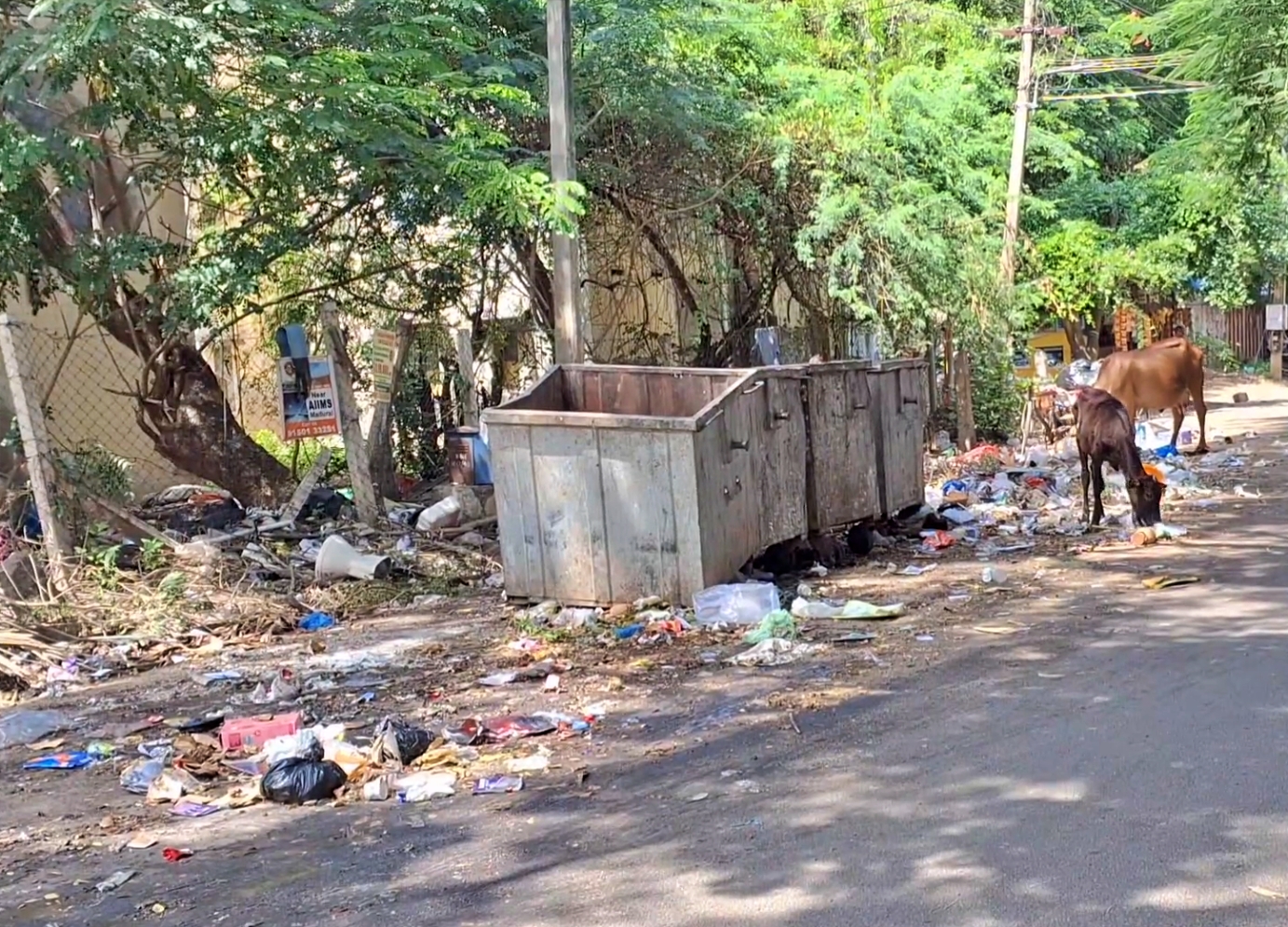 நெகிழியுடன் சேர்ந்த குப்பைகளை சுவைக்கும் தெருவோரத்தில் வசிக்கும் கால்நடைகள்.