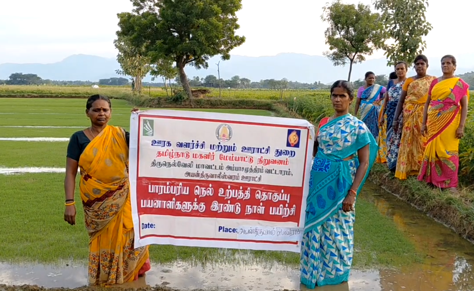 பாரம்பரிய நெல் உற்பத்தியில் களமிறங்கியுள்ள மகளிர் சுய உதவிக்குழுவினர்