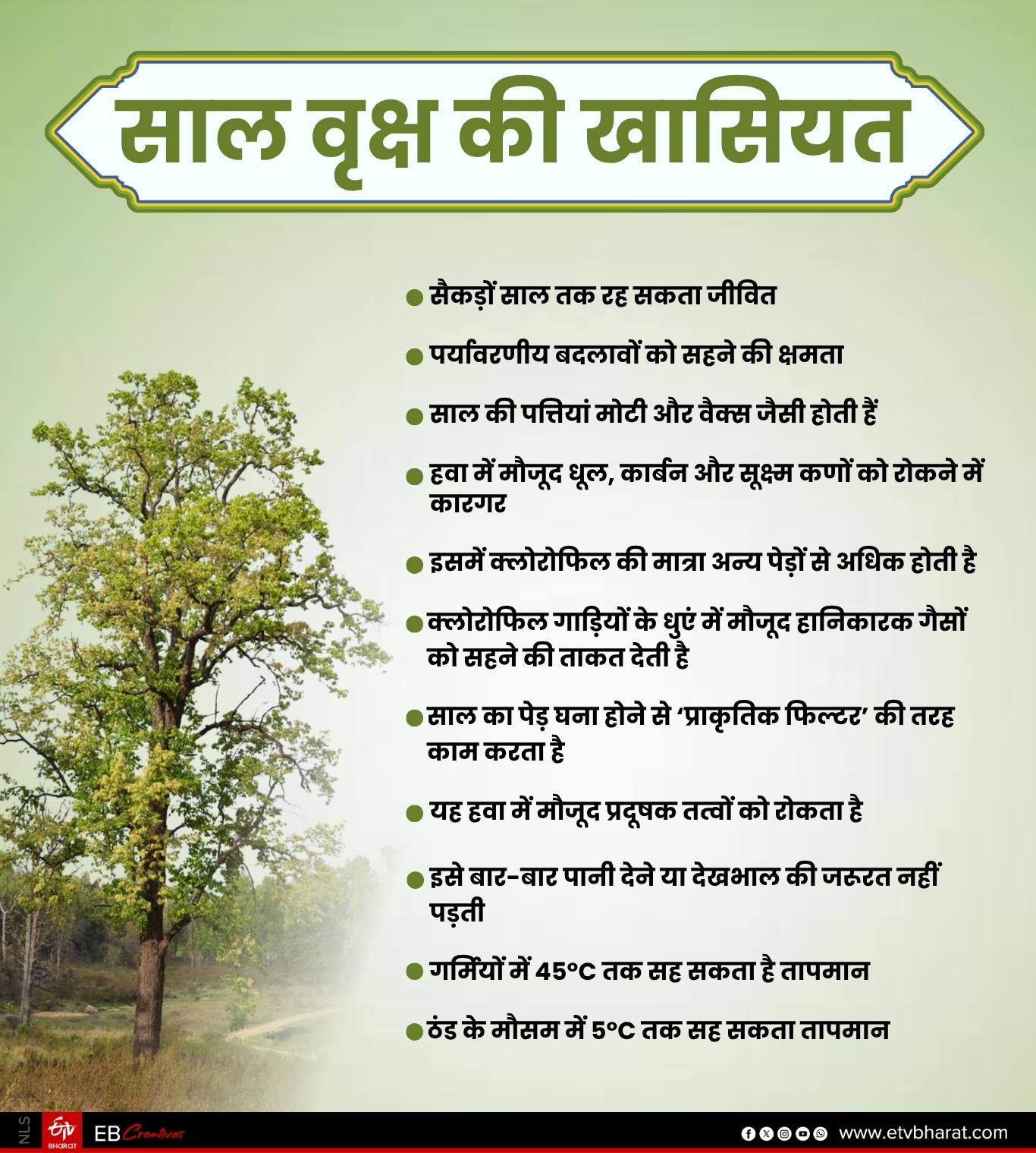 साल के पेड़ की खासियत