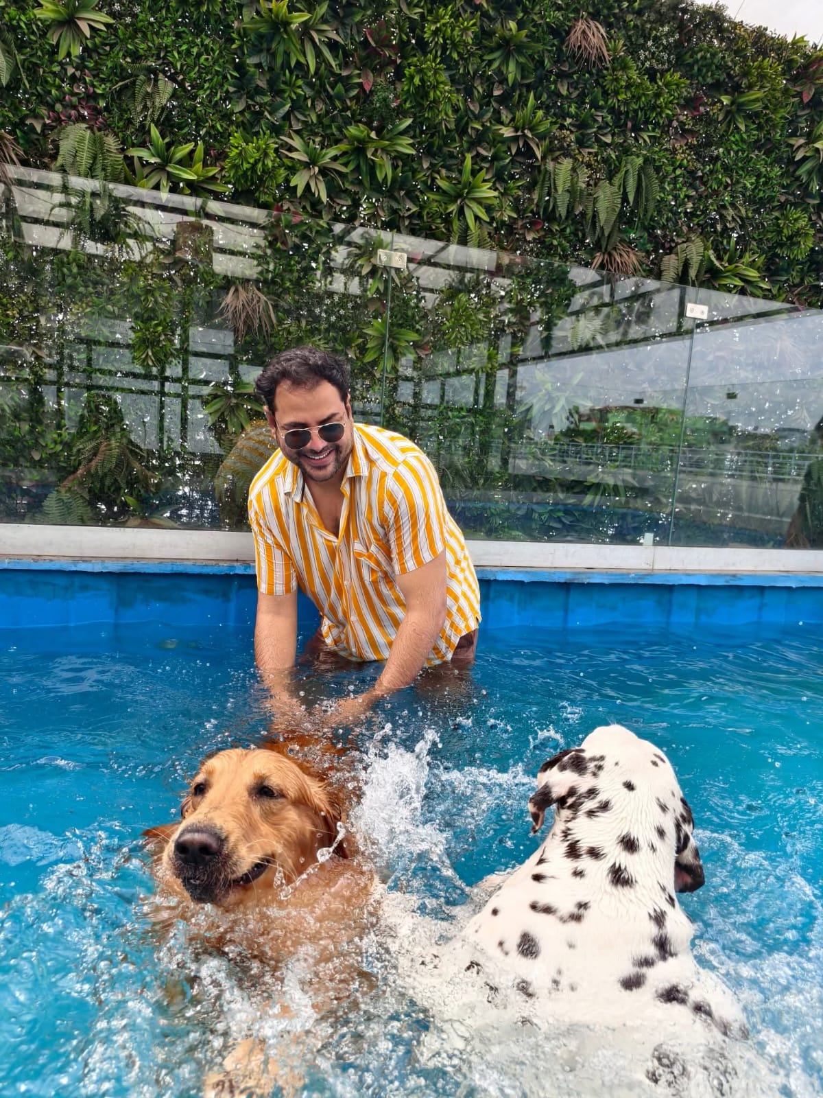 Supreme Court order on stray dogs