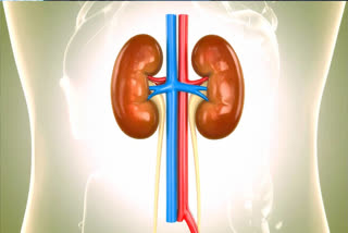 GLOBAL STUDY  LANCET STUDY  KIDNEY DISEASES IN INDIA  LATEST NEWS IN MALAYALAM