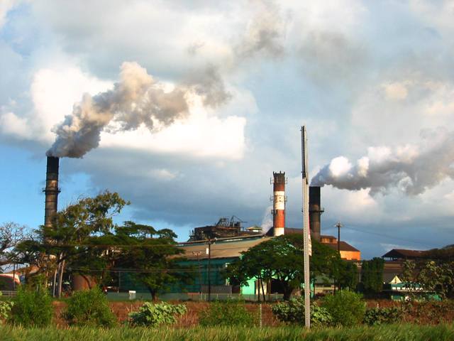 Assam first sugar mill