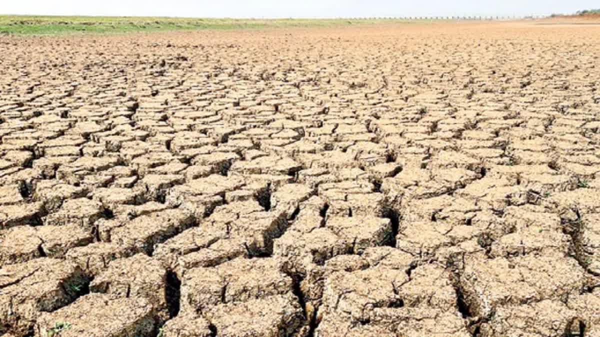కొల్లేరుకు ‘పూడిక’ గండం - వానొస్తే వరదలు, ఎండొస్తే బీటలు