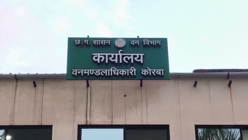 Korba Forest Division Office