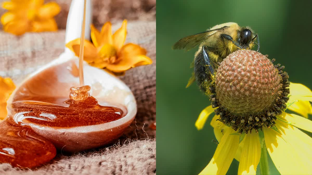 Bhavantar Bharpai Yojana