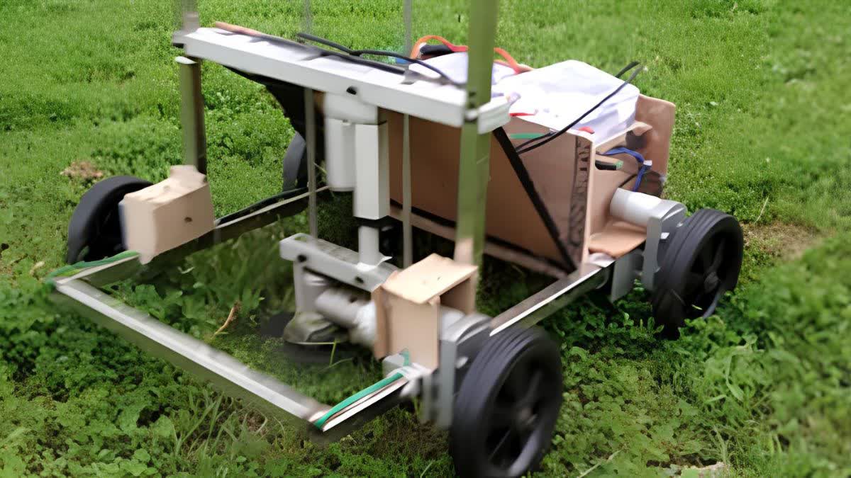 Punjab University Grass Printer