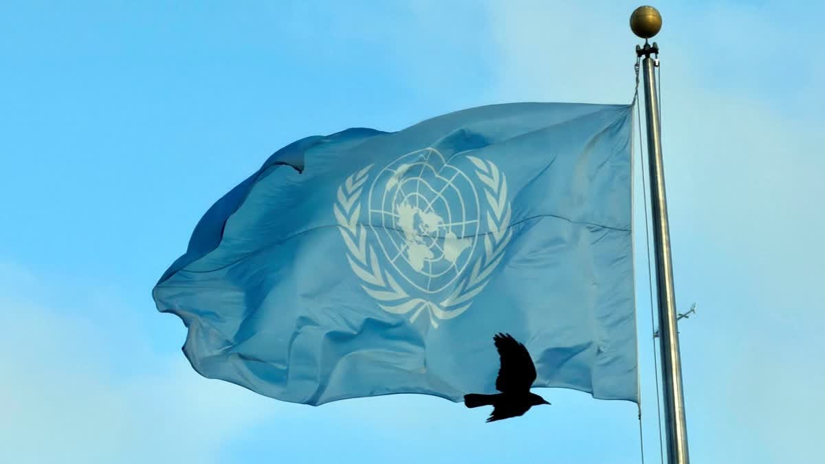 நியூயார்க்கில் உள்ள ஐநா தலைமையகத்தில் பறக்கும் கொடியை கடந்துச் செல்லும காகம்: நாள் டிசம்பர் 18,