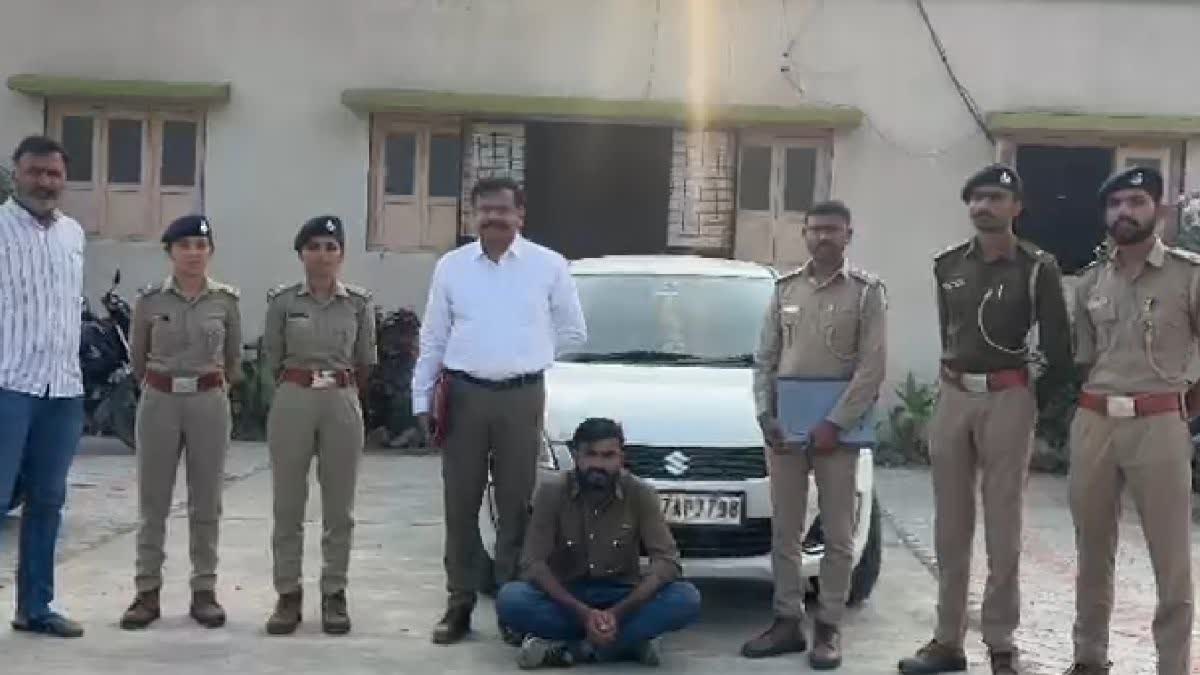 અમરેલી: વાહનની અડફેટે સિંહણના મોત મામલે વનવિભાગની તપાસ, વાહનચાલકની અટકાયત