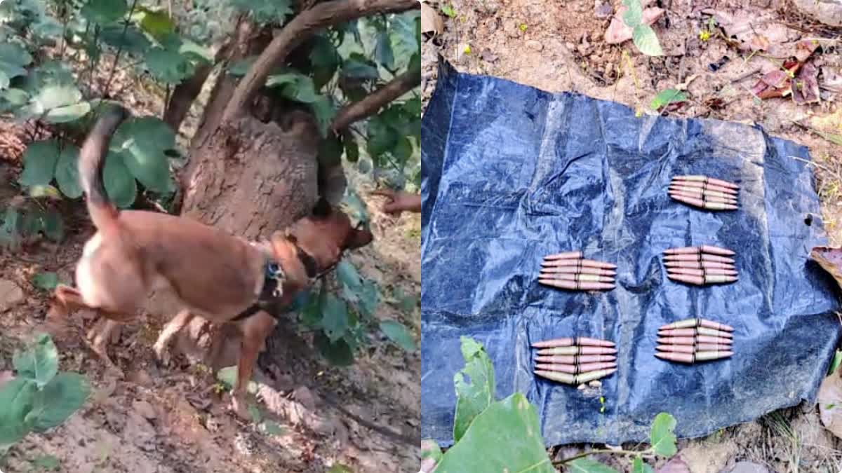 anti Naxal operation in Jamui