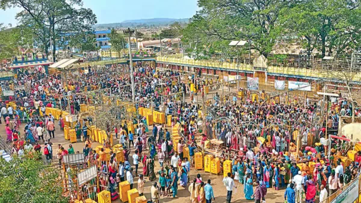 Development Works In Medaram