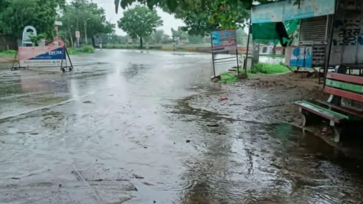 शीतलहर और कोहरे के बीच मावठ