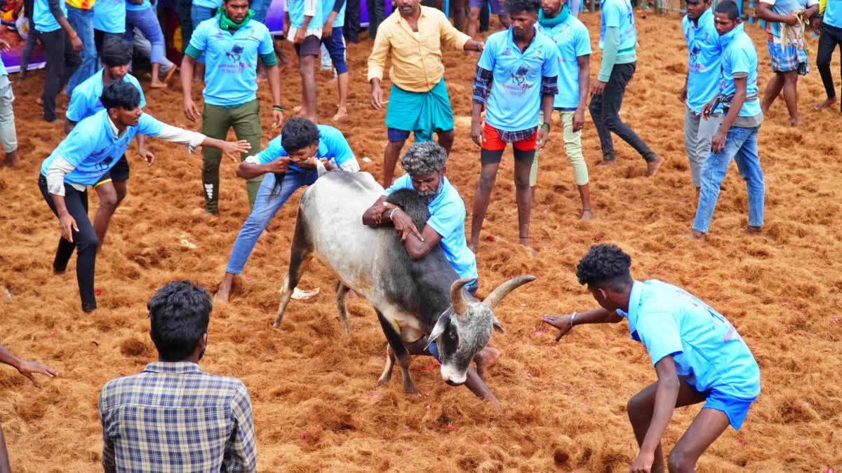 கோப்புப்படம்