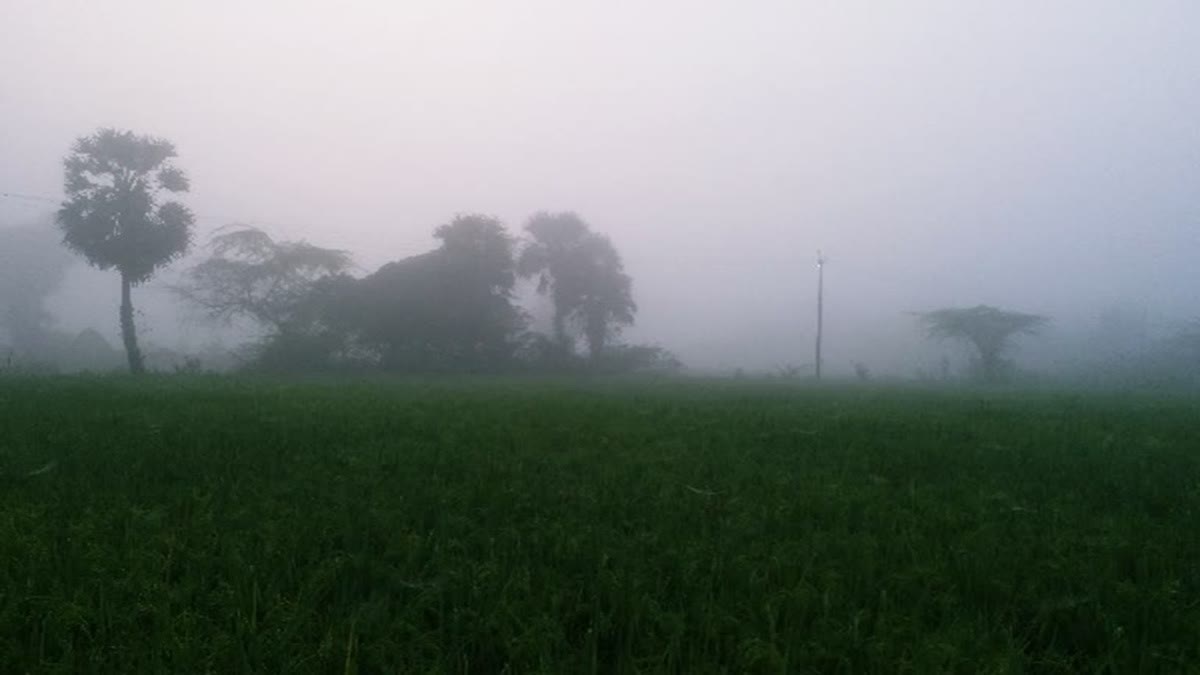 கோப்புப் படம்