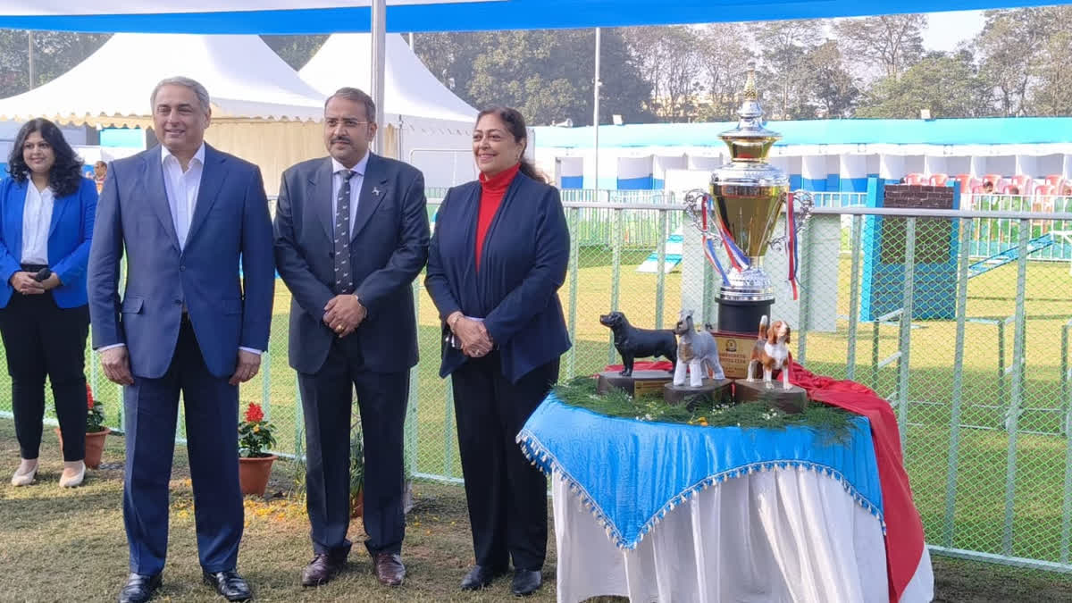 जमशेदपुर में इंटरनेशनल डॉग चैंपियनशिप शो का आयोजन, टाटा स्टील के एमडी ने किया उद्घाटन International Dog Championship Show