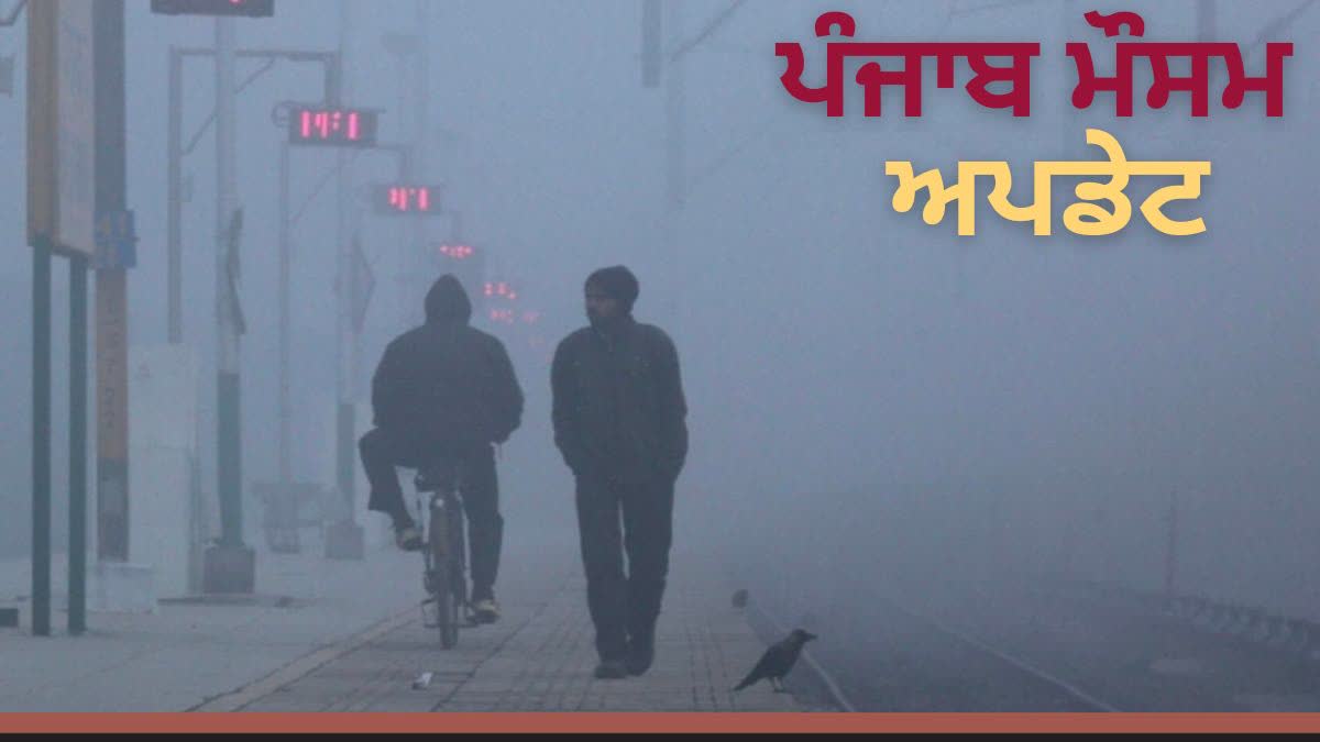 PUNJAB WEATHER UPDATE